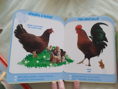 Prvé knižky angličtina 5x, 