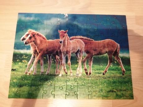 Puzzle koníky,