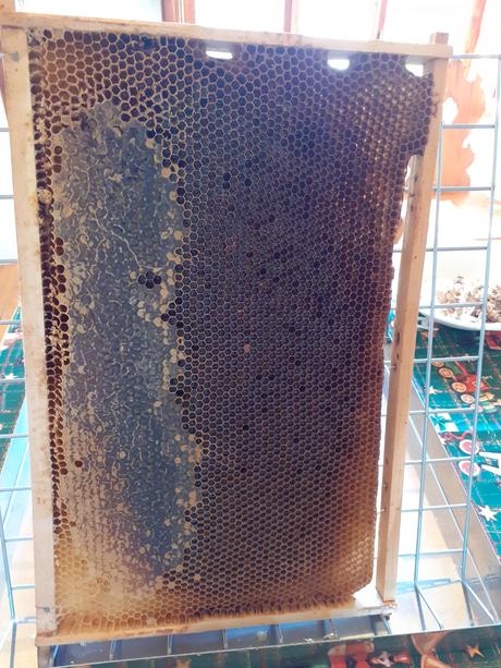 Propolisová hrejivá čili masť, 