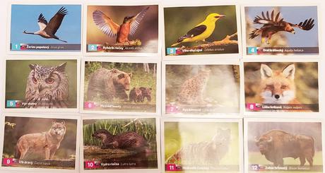 Kaufland figúrky zvieratká - sprievodca prírodou,