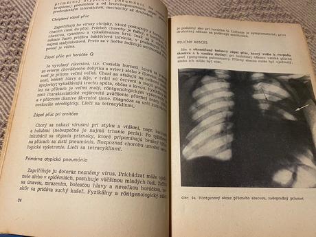 Vnútorné lekárstvo 2 k. bobek, j. havránek 1966,