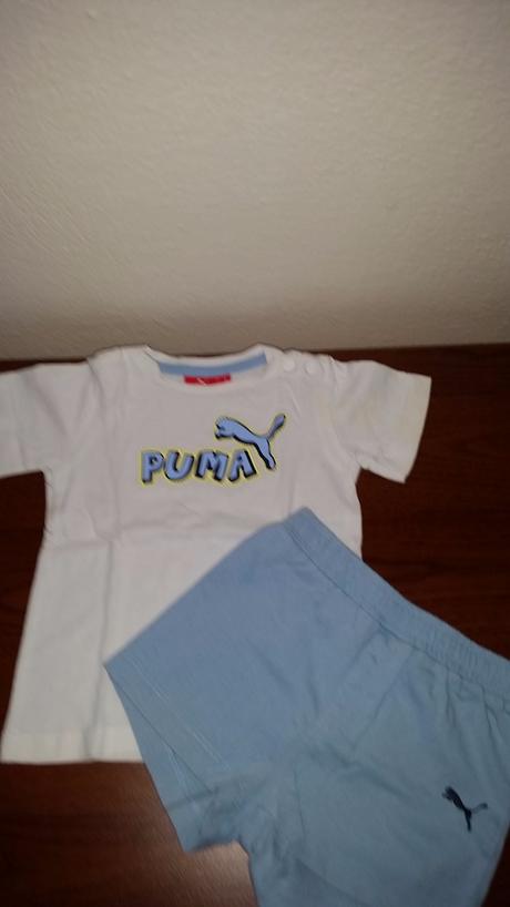 Supravicka puma, puma,68