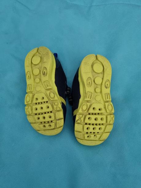 Geox, adidas, geox,22