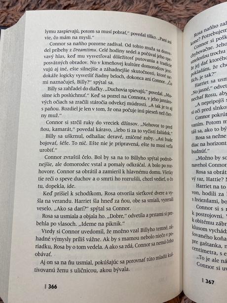 Krásna kniha krajina snov tamara mckinley,