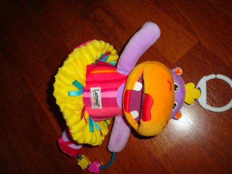 Lamaze hrosica, 