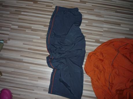 Sustakova suprava, l