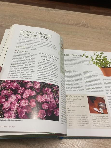 Velká kniha bylinek bylinky, 