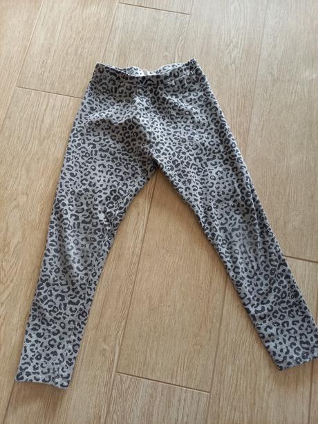 Leginy zara, zara,116