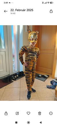 Kostým tiger,
