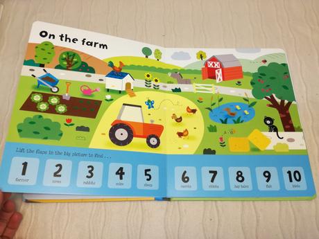 Usborne lift  the flap word book, 