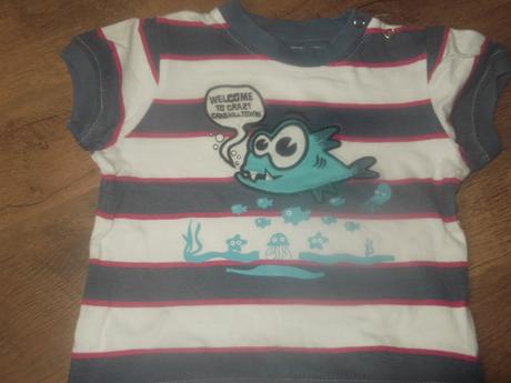 Komletik na leto , dopodopo,80