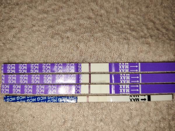 Výsledok tehotenského testu