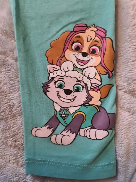 Labkova patrola suprava, nickelodeon,110