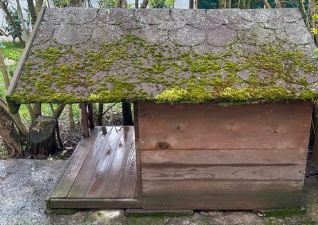 Zateplená búda pre psa z masívu,