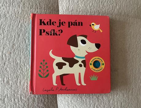 Kniha kde je pán psík,