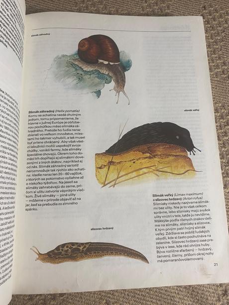 Pestrá príroda luděk j. luděk jindřich dobroruka,,