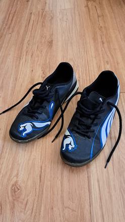 Halovky puma, puma,35