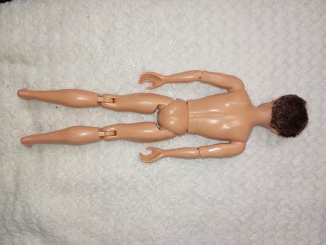 Barbie my scene chlapci ken, 