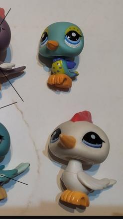 Lps datel a kolibrik,