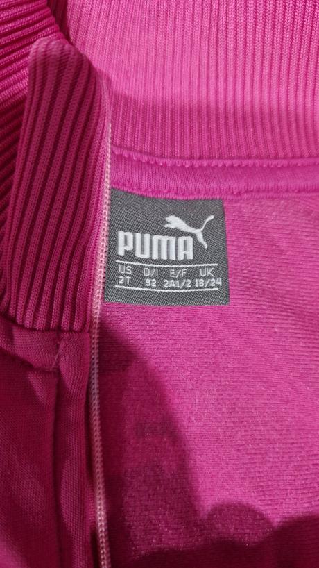 Puma súprava, puma,92
