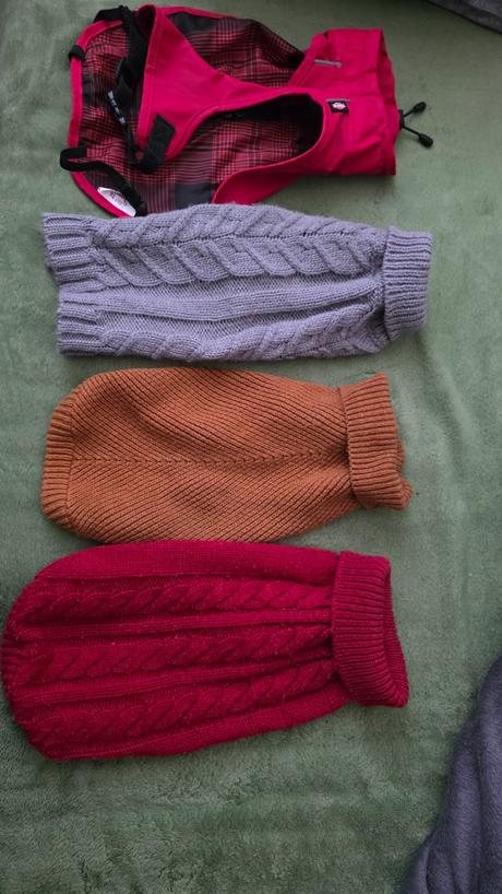 Oblecenie pre psika mendieho vzrastu, 