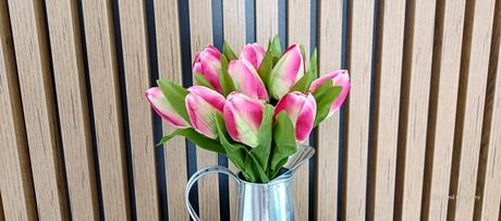 Tulipán - ružový, 