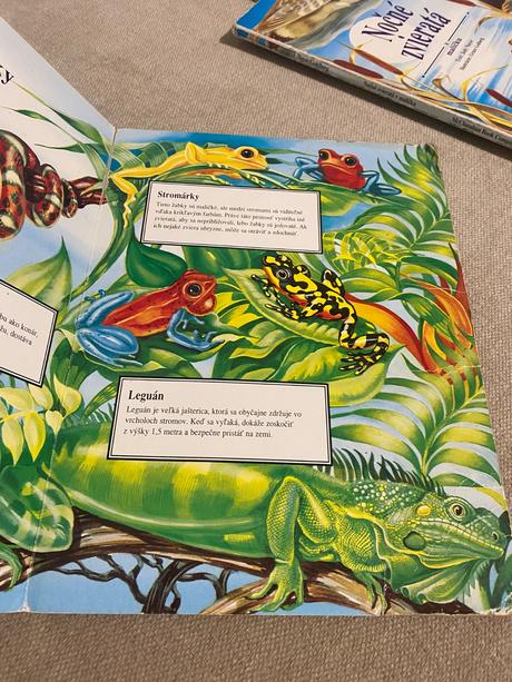 Krásne leporelo zvieratá džungle judy nayer,