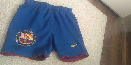 Kraťasy ( cena už s poštovným), nike,104