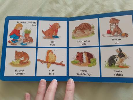 Prvé knižky angličtina 5x, 
