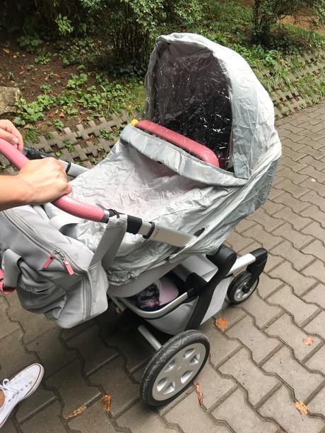 Prsiplast na kocik joolz, joolz,joolz day3