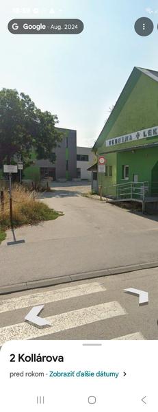 Mudr. Liesnerová v Martine