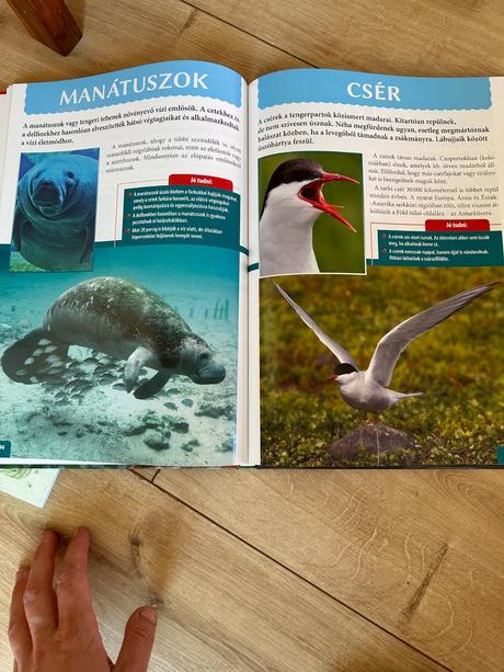 Állatok enciklopédiája, 