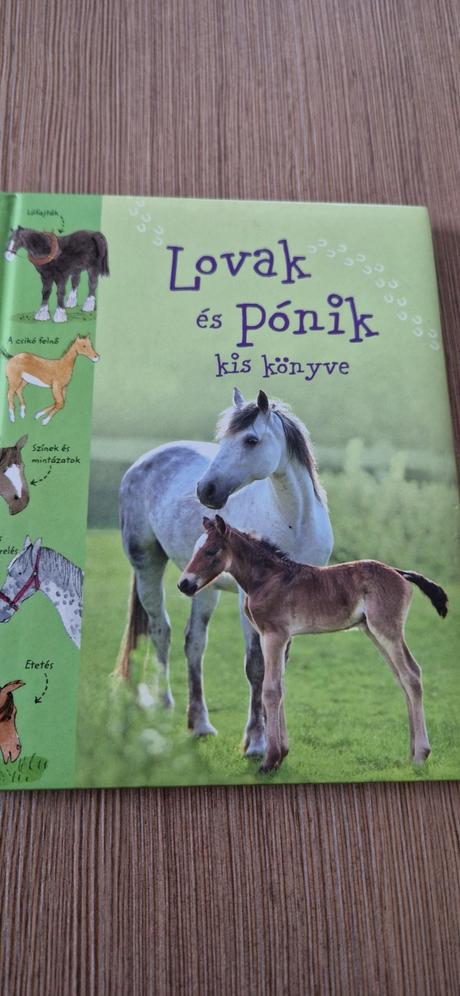 Lovak és ponik, 