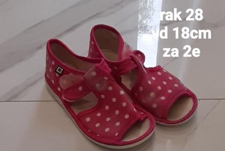 Rak papucky, rak,28