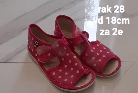 Rak papucky, rak,28