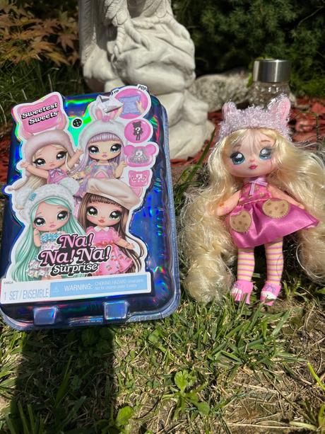 Na na na lily llama, 