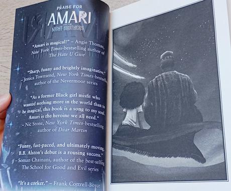 Kniha amari and the night brothers, 