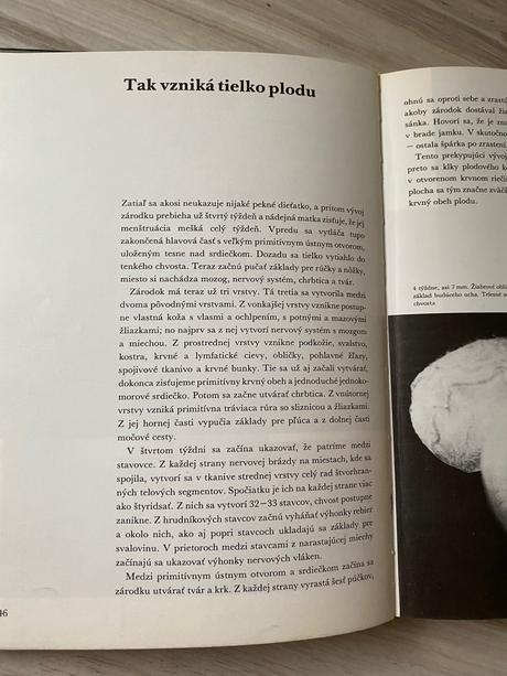 Krásna kniha čakáme dieťatko,