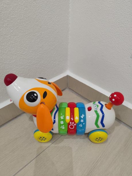 Predám psíka na diaľkové ovládanie, 