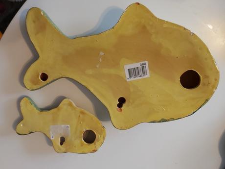 Keramicke morske zivocichy, 