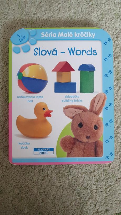 Anglictina pre zaciatocnikov, 