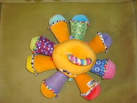 Hudobná chobotnička, 