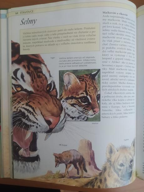 Stručná detská encyklopédia prírody (1992), 