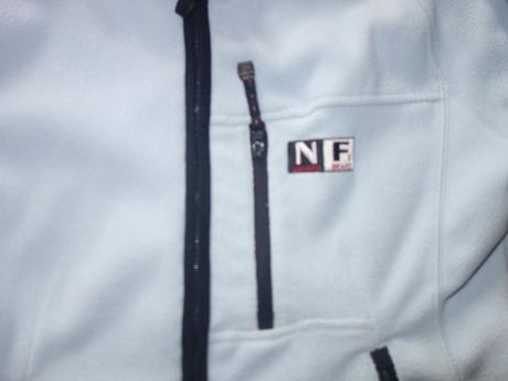 Bledomodra fliska, m