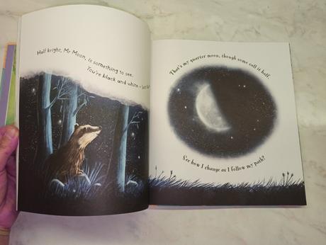 The great big storytime collection hb, 