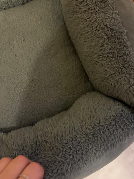 Pelech pre maleho psika, 