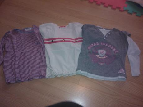 Tricka, palomino,104