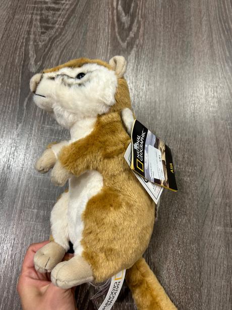 Nathional geographic vevericka 23cm,