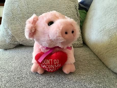 Plyšové prasiatko, 