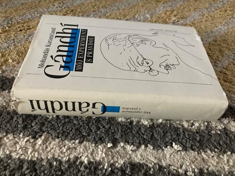 Gándhí môj experiment s pravdou (1989), 